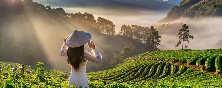 Hill Station Tours
